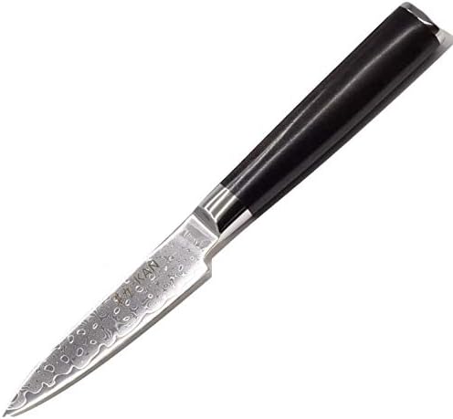 KAN Core 3.5-inch Professional Paring Knife Japanese VG-10 (G10 Handle)