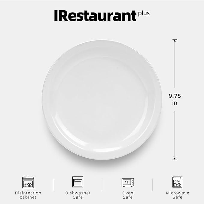Stoneware Narrow Rim Commercial Grade Dinnerware (Bright White, Plate 9 5/8")