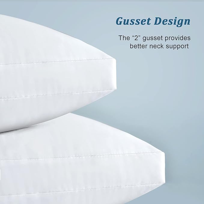 EIUE Bed Pillows for Sleeping 2 Pack Queen Size，Super Soft Down Alternative Microfiber Filled Pillows,20 x 30 Inches,White
