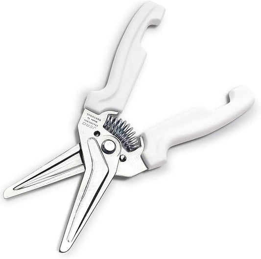 Jero Stainless Steel Kitchen Shears with Holder - Perfect for Herbs, Floral Trimming and Kitchen Use - Made in Portgual