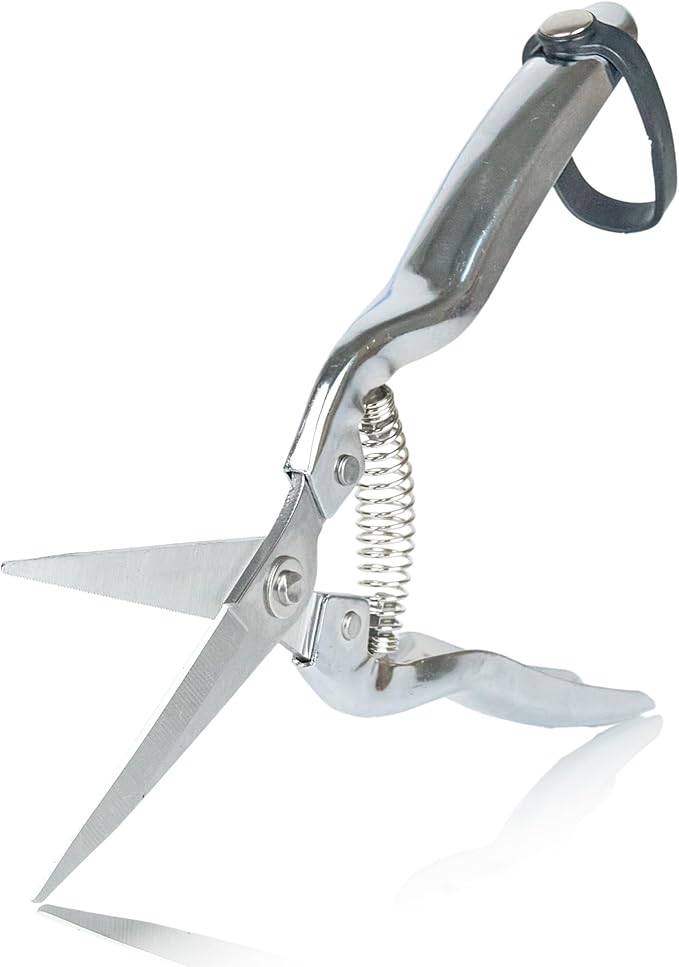 Pruning Shears SK5 Carbon Steel – Hand Pruners & Garden Clippers for Tree, Bonsai & Landscaping, Ergonomic Design with Replacement Spring & Bonus Fine Shears
