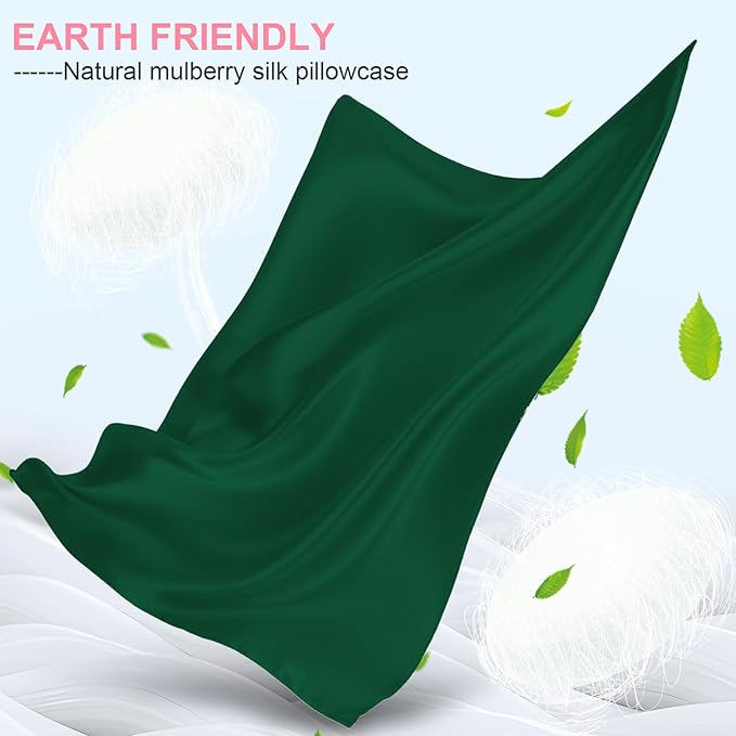 Mulberry Silk Pillow Cases 2 Pack Queen Size 20x30 Inches with Hidden Zipper, Ultra Smooth and Soft Breathable Cooling Silk Satin Pillowcase Set of 2, Better for Hair and Skin, Gifts for Women Men