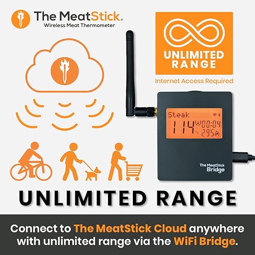 MeatStick WiFi Bridge