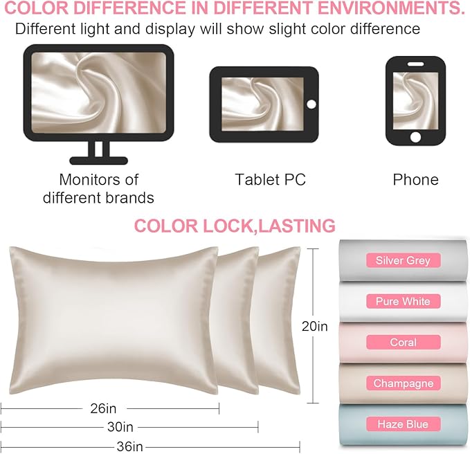 Mulberry Silk Pillow Cases 2 Pack Queen Size 20x30 Inches with Hidden Zipper, Ultra Smooth and Soft Breathable Cooling Silk Satin Pillowcase Set of 2, Better for Hair and Skin, Gifts for Women Men