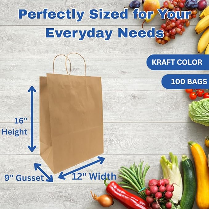 ASSUREPAK DIY Grocery Paper Bags - 100 Bags - 12"x9"x16" - 74LB (110 GSM strong) Twisted Handle - Kraft/Natural - Recyclable Food & Supermarket Bags for Decorating & Branding