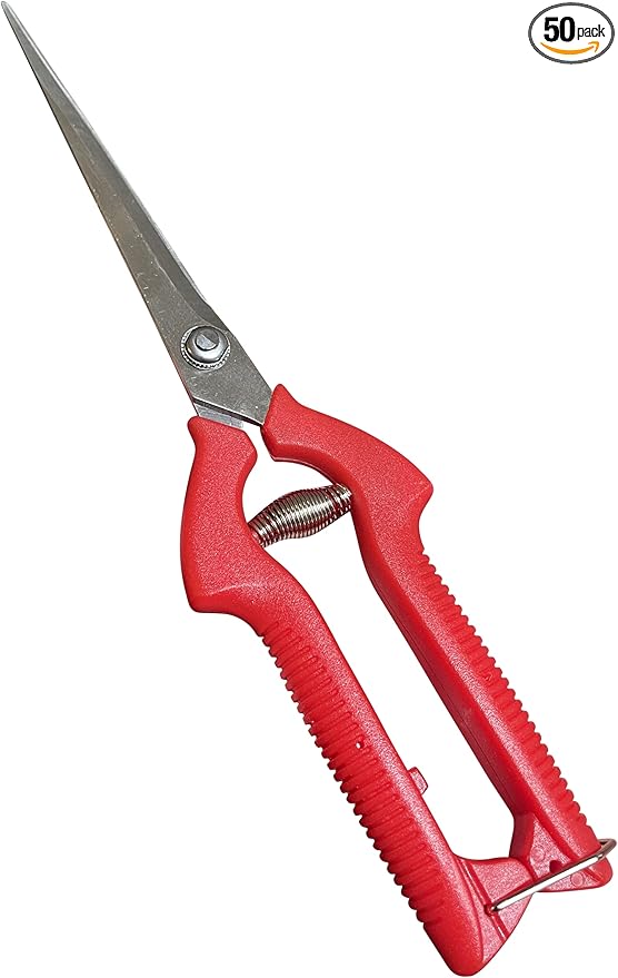 GARDEN GURU Extra Long Stainless Steel Pruner Pruning Shears Clippers Snips – Sharp Bonsai Cutter Trimming Scissors – Straight Blade Garden Scissors Tool – Great for Flowers Herbs - 1 Case (50 Pcs)