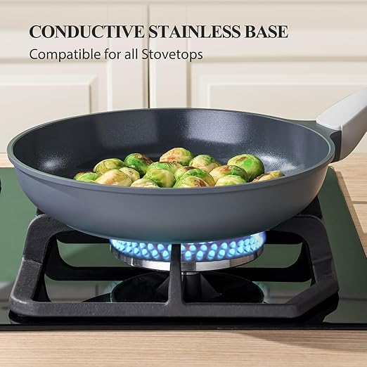 PRICUSIS Nonstick Ceramic Frying Pan, Skillet with Stay Cool Handle, Egg & Omelet & Chef's Pan, Induction Compatible & Oven Safe, Dishwasher Safe, PTFE PFAS & PFOA Free (10+12 Inch)