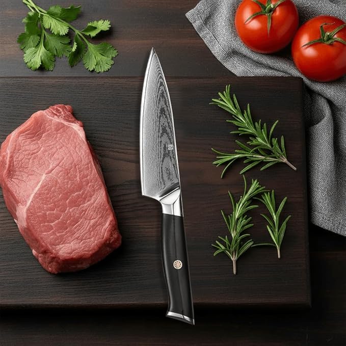 Utility Knife,5.5inch Damascus knife,67-Layer High Carbon Stainless Steel Kitchen Knife,Professiona Sharp Cutting Knives with Black Ergonomic G10 Handle,Gift Box for Home and Kitchen Birthday Gift