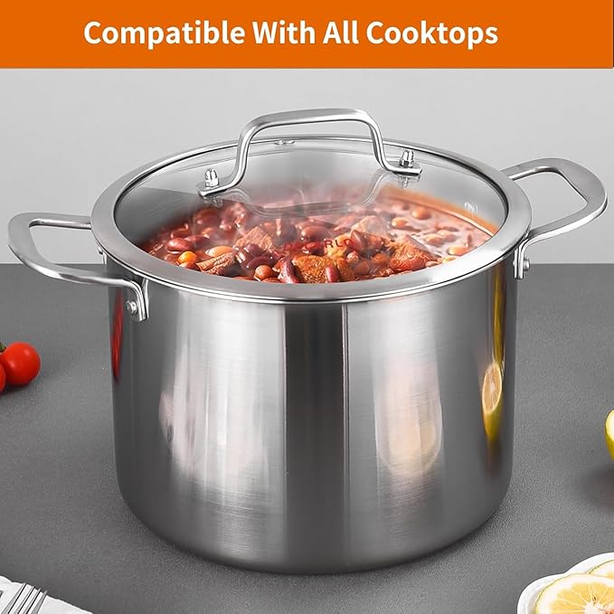DELARLO Tri-ply Stainless Steel 20QT Stock Pot, Compatible with All Stoves Up to 600℉, 18/10 Induction Big Cooking Pot with Lid, Fast & Even Heating, Durable Large Soup Pot