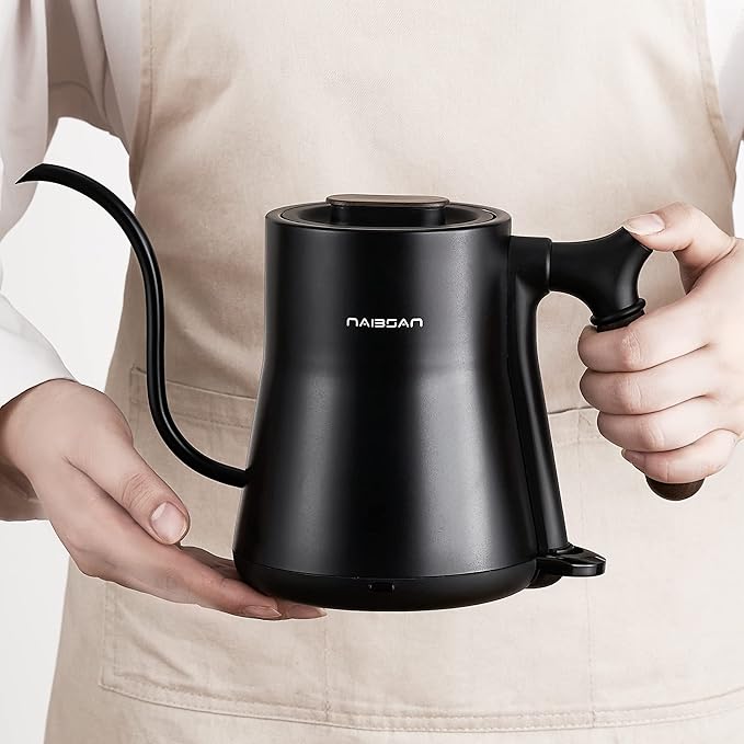 Gooseneck Electric Kettle, 1000W, Pour-over Coffee & Tea, Stainless Steel, Hot Water, 0.8L, Small, Auto Shut-Off & Boil Dry Protection, BPA Free