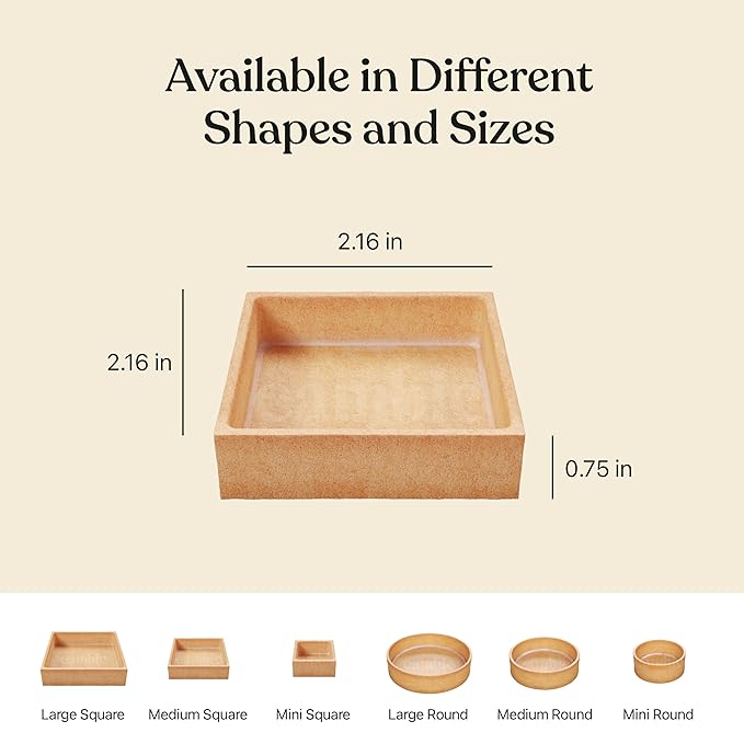 Cambie Medium Square Vanilla Tart Shells, 55mm (2.16") Diameter, French Style Tart Shells, White Chocolate Coating, Pack of 40