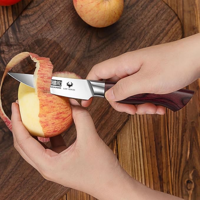 HOSHANHO 3.75 Inch Paring Knife, Ultra Sharp High Carbon Stainless Steel Small Kitchen Knife, Professional Janpanese Fruit Knife with Ergonomic Wood Handle