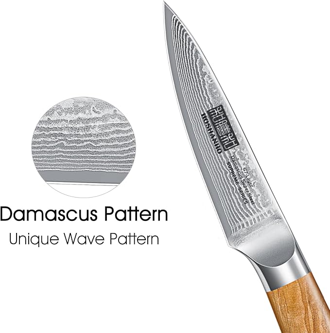 HOSHANHO Damascus Paring Knife 3.75 Inch, Professional 67 Layers Damascus Super Steel Small Fruit Knife, Super Sharp Hand Forged Japanese Paring Knife