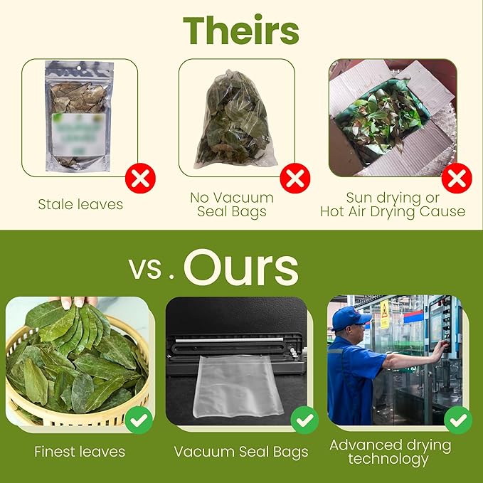 TROPICAL TEAHOUSE 250+ Soursop Dried Leaves, 3oz Premium Graviola Leaves, 100% Pure Guanabana Leaves, Handpicked, Gluten Free, Caffeine Free, Sugar-Free