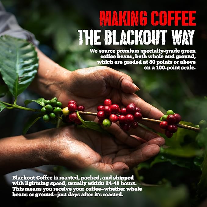 Blackout Coffee Blueberry Crumble Flavored Ground Coffee – Medium Roast, Smooth Taste, Guilt-Free Indulgence – Freshly Roasted 12oz Bag, American Made