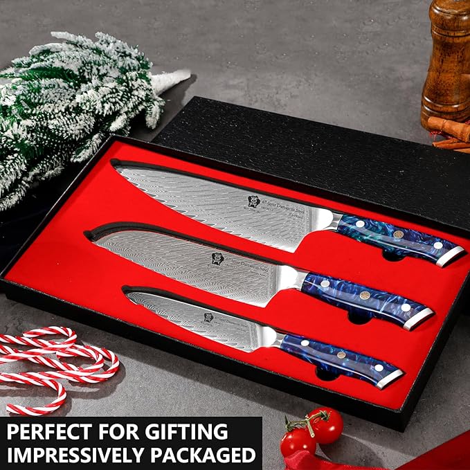 WILDMOK Kitchen Knife Set, 3 Piece Damascus Steel Professional Chef Knife Set with Ultra Sharp Blade & Resin Handle -Kitchen Knife Set 3 Pcs