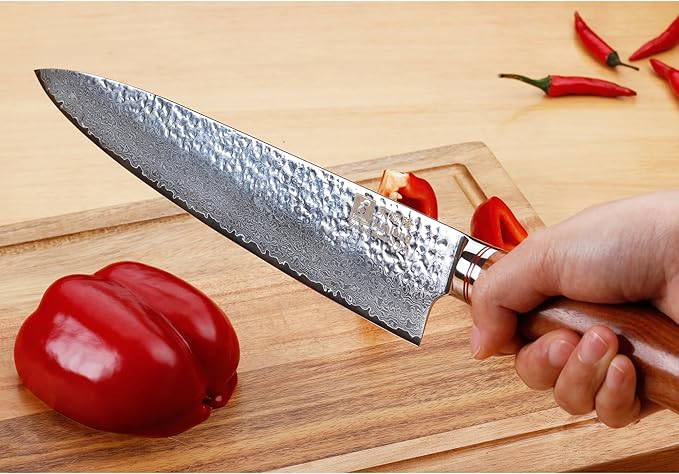 SUNLONG Gyuto 10 inch Pro Chef's Knife Japanese Knife Kitchen Knife - Hammered Damascus VG10 Steel - Bloodwood Handle