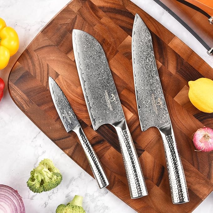 Damascus Kitchen Knife Set with Block, 4 Pieces Knife Block Set with Hammered Patterns Ergonomic Handles, 67 Layer Handmade Damascus VG10 Steel Core NF-D0519T-4B