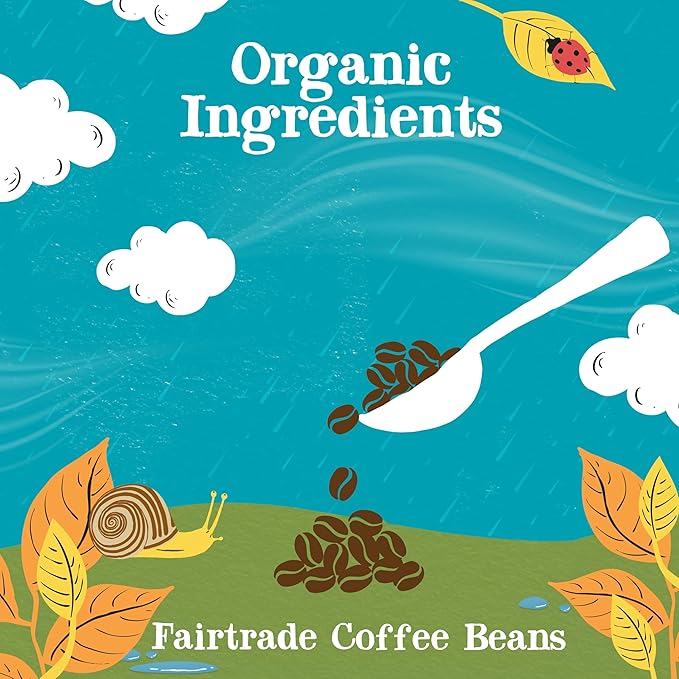 Clipper Coffee: Organic Latin American Instant Coffee – Medium Roast Coffee, Freeze Dried & Ethically Sourced – 100g (3.53oz)