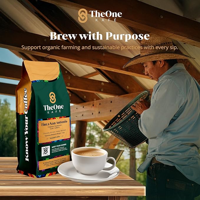 TheOne Kafé Guatemala Medium Roast Ground Coffee – Organic, Single Origin, Premium Specialty Coffee and Ethically Sourced – Fresh Roasted for Espresso, Drip, Pour Over – 12 oz (Pack of 2)
