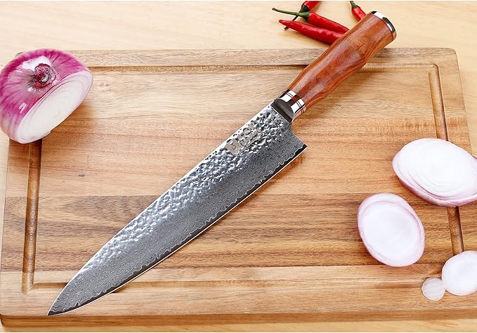 SUNLONG Gyuto 10 inch Pro Chef's Knife Japanese Knife Kitchen Knife - Hammered Damascus VG10 Steel - Bloodwood Handle