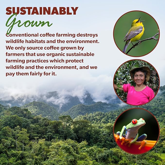 Low Acid Organic Coffee – Whole Bean, Mold-Free & Stomach Friendly by Java Planet, Good Morning Blend Coffee, Medium Roast, Smooth Full Flavored, 5LB Bag