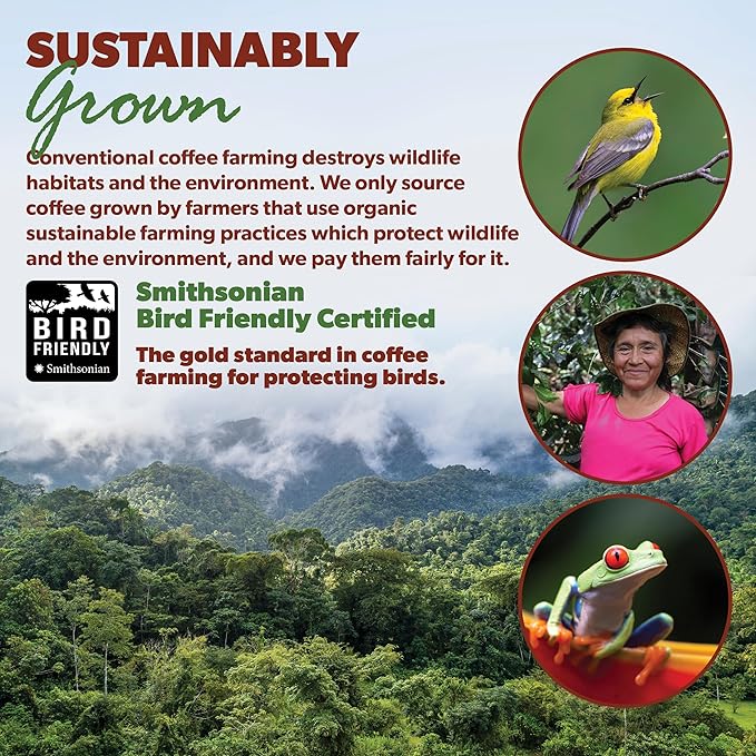 Low Acid Organic Coffee – Whole Bean, Mold-Free & Stomach Friendly by Java Planet, Peruvian Single Origin Coffee, Medium Dark Roast, Smooth Full Flavored, 2x1LB Bag